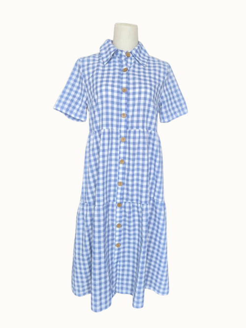 Emery Rose Blue Gingham Shirt Dress – Size S