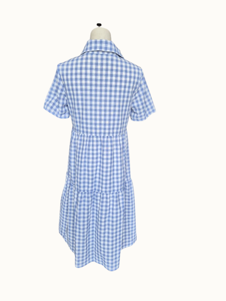 Emery Rose Blue Gingham Shirt Dress – Size S